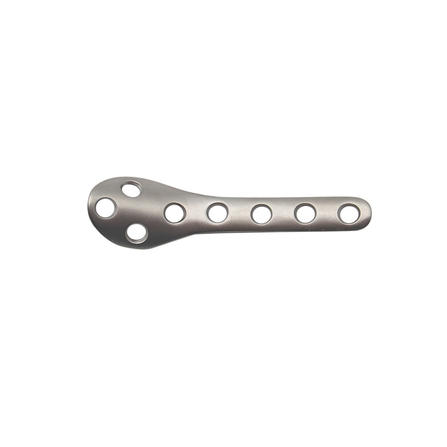 fibul distal fibulate-ii