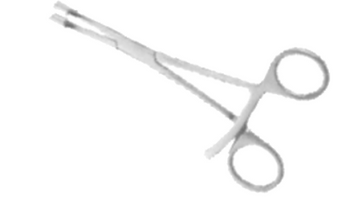Forceps nn