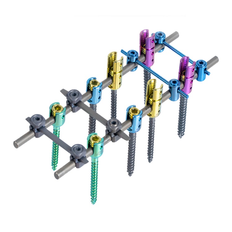 6.0 Spinal Pedicle Screw System