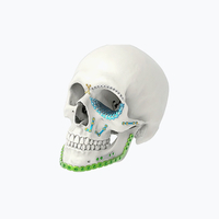 CMF/maxillofacial